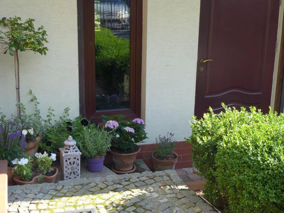 ורוצלב Spacious Apartment In Green District. מראה חיצוני תמונה