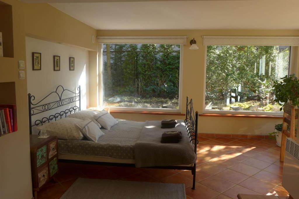 ורוצלב Spacious Apartment In Green District. מראה חיצוני תמונה