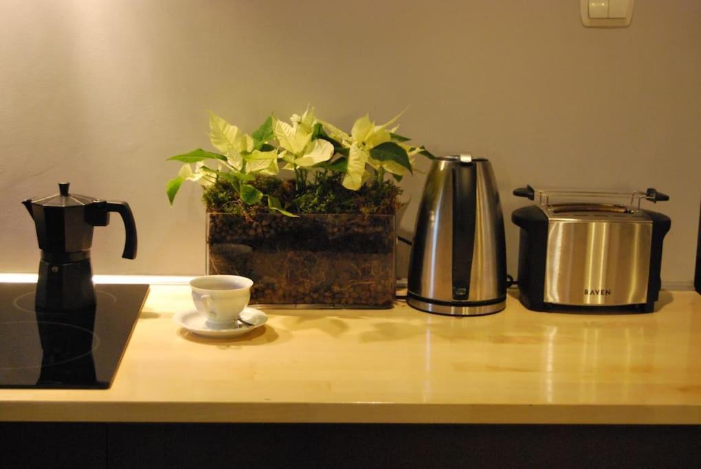 ורוצלב Spacious Apartment In Green District. מראה חיצוני תמונה