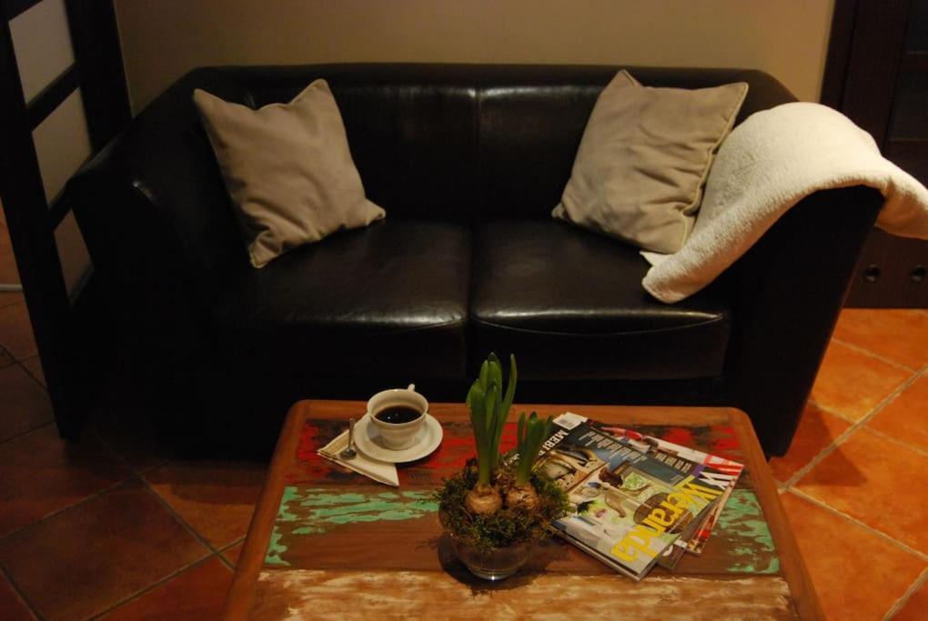 ורוצלב Spacious Apartment In Green District. מראה חיצוני תמונה