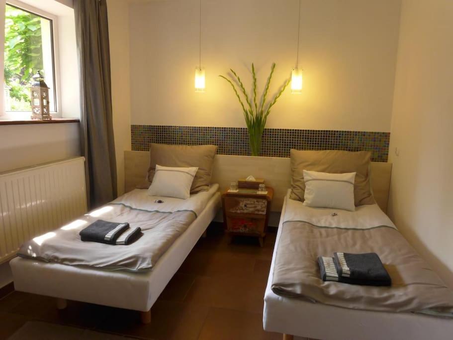 ורוצלב Spacious Apartment In Green District. מראה חיצוני תמונה